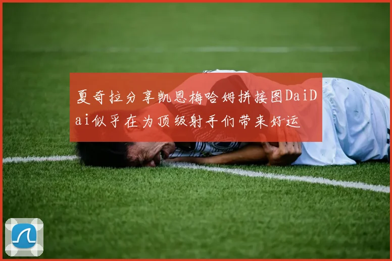 夏奇拉分享凯恩梅哈姆拼接图DaiDai似乎在为顶级射手们带来好运